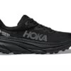 Hoka One One HOKA Women's Challenger 7 GORE-TEX Hiking Shoes In Black -Shoes World 1134502 BBLC